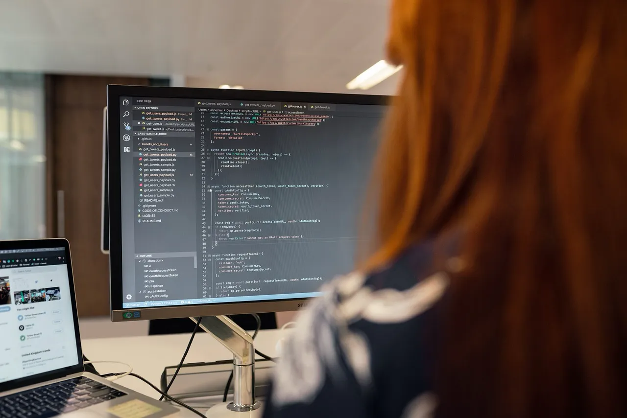Case Study: software per votazione elettronica